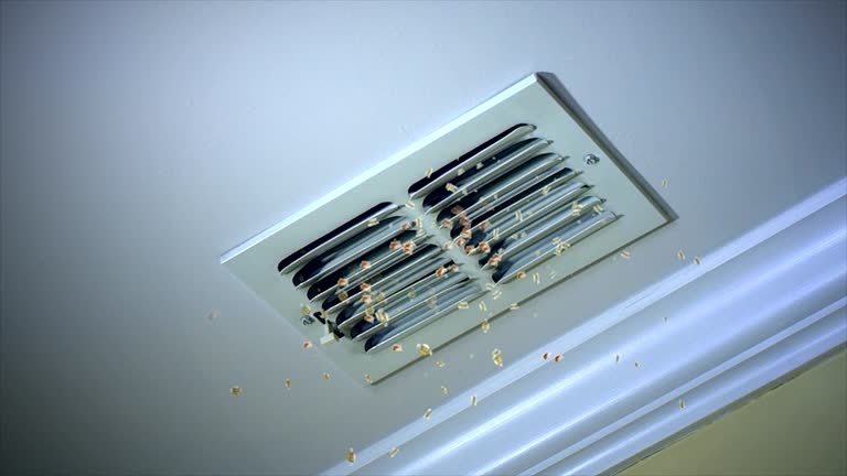 Best Affordable HVAC Duct Cleaning  in West Hill, OH
