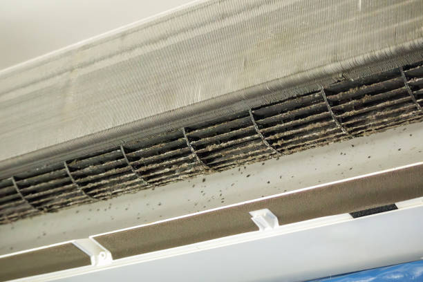 Best Affordable Air Duct Cleaning  in West Hill, OH